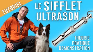 Comment UTILISER un SIFFLET ULTRASON pour CHIEN [upl. by Atsev]