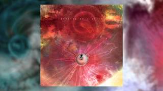 ANIMALS AS LEADERS  Nephele [upl. by Liatris900]