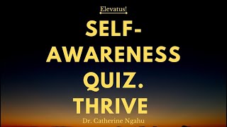 Selfawareness The Fun Quiz Game [upl. by Allie731]