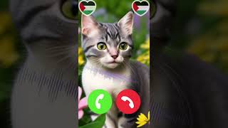 short ringtone Mi tone call smartphoneringtones cat funny iphonerington mobilephoneringtone [upl. by Benildas930]