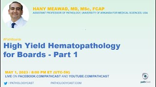 PATHBOARDS High Yield Hematopathology for Boards  Part 1 [upl. by Harragan614]