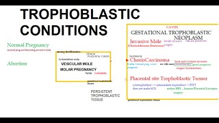 Pathology 750 Placenta Tumor Hydatidiform mole complete partial molar ChorioCarcinoma obstetrics [upl. by Roth125]