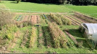 Il nostro ORTO da qui proviene il nostro cibo Agricoltura Rigenerativa Sovranità Alimentare [upl. by Lewiss]