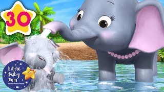 5 Elephants Having A Wash  30 Minutes of Nursery Rhymes  Learn With LBB  howto [upl. by Ynneg]