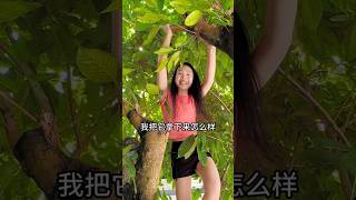 ফল পাড়তে গিয়ে গাছ থেকে পড়ে গেলামfruit [upl. by Roye25]