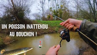 JE NE MATTENDAIS PAS A PRENDRE CE POISSON EN PÊCHANT AU BOUCHON [upl. by Inman]