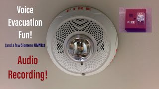 Fire Alarm Testing Audio Recording [upl. by Gadmon]