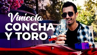 Vinícola Concha y Toro 4K  A mais FAMOSA do Chile  Passeios em Santiago [upl. by Eimor327]