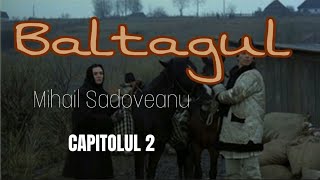 BALTAGUL  Capitolul 2  de Mihail Sadoveanu [upl. by Oaoj]