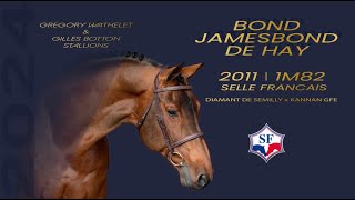 Bond Jamesbond de Hay  Grégory Wathelet amp Gilles Botton Stallions [upl. by Akisej]