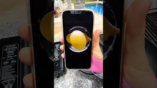 Vinegar Egg 🥚 experiment 🤔😱😂shorts youtubeshorts viralshorts [upl. by Hathaway581]