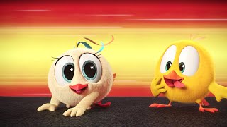 At full speed  Wheres Chicky  Cartoon Collection in English for Kids  New episodes HD [upl. by Kiley]