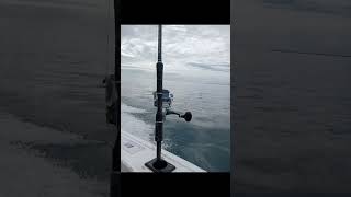 going fishing for two days Hervey bay whiting squid big woody toogoom yabbies viral [upl. by Kieffer]