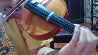 Littleroot town  Pokemon RSE violin cover [upl. by Fionna]