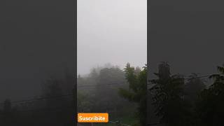 Neblina peligrosa music backstreetboys pop automobile funnymemes coin monedasantiguas reels [upl. by Rutledge]