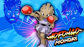 So We Made A HITMONCHAN Team [upl. by Enneles5]