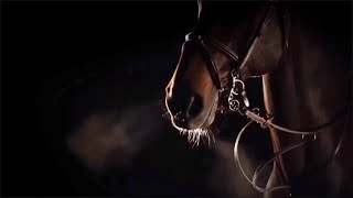 Broken  Showjumping Music Video Horse Edit [upl. by Ttennej]