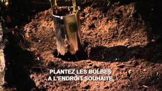 Astuce de jardin Floralux Planter des bulbes [upl. by Eatnoid]