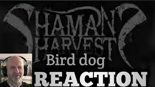 Shamans Harvest  Bird dog REACTION [upl. by Adkins824]