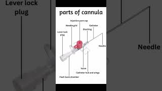 Parts of Cannula IV Cannula Insertion how To Insert IV Cannula doctor mbbs youtubeshorts shorts [upl. by Anwad]