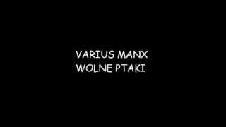 varius manx wolne ptakiwmv [upl. by Ettenor]