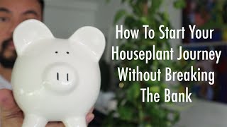 Start and Grow Your Houseplant Collection On A Budget  Beginners Guide To Indoor Plants [upl. by Saitam]