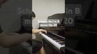 Scherzo No1 in B minor Op 20 [upl. by Ayahsal]