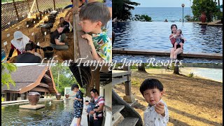 Vlog 50 Kuantan and Terengganu Trip Part 2  Tanjong Jara Resort 的海龟季 [upl. by Annis]