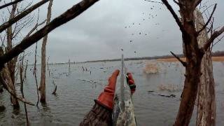 RESERVOIR MALLARDS Limited Out Public Land Duck Hunting [upl. by Bakeman]