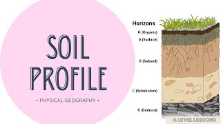 The BEST Soil Profile explanation video  A Level Geography 2024 [upl. by Noonan]