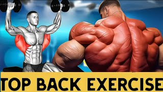 10 MINUTE HOME BACK WORKOUT NO EQUIPMENT  Best Exercises for Back [upl. by Hettie127]