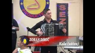 Zoran Dimic  Kolo harmonika  LIVE  Sezam iz Dijaspore  Tv Sezam 2014 [upl. by Haig]