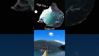 Physics High amp low Tides  Animation Explain shorts physics animation science viral tranding [upl. by Lilithe643]