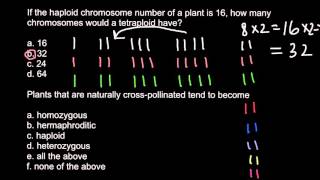 Haploid diploid triploid and tetraploid plants [upl. by Rabi]