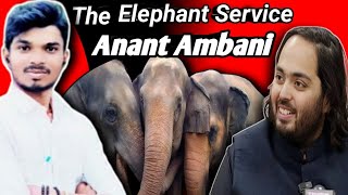 Anant Ambani elephant service in the forest By SRVishal [upl. by Barnebas]