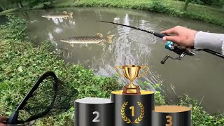 Compétition de pêche aux carnassier à MAINTENONPIERRE  Podium [upl. by Melodee]