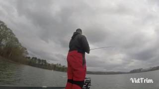 Lake Hartwell Herring Spawn 2k16 [upl. by Pachton]