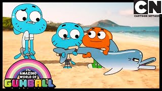 The List  Gumball  Cartoon Network [upl. by Nosniv755]