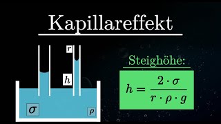 Kapillareffekt EINFACH erklärt  Kapillarität Experiment Oberflächenspannung Physik [upl. by Leynad]