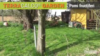 Carmeuse Terracalco Garden  Romanian version [upl. by Martainn]