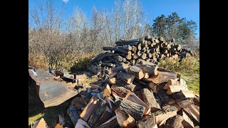 After The Tent Farmhouse cooking Opening another pasture Happy cows More firewood Homesteading [upl. by Enyalb]