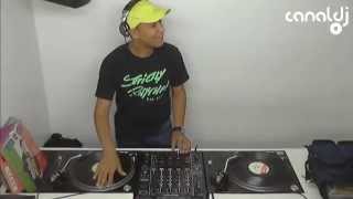 DJ Willinha  Flash House 12  Canal DJ 21112014 [upl. by Llertram]