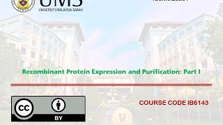 Recombinant Protein Expression in E coli Part I [upl. by Sineray]