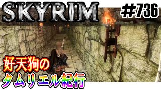 【SKYRIM】好天狗のタムリエル紀行 オーリエンと秘密の部屋【7326】 [upl. by Treiber591]