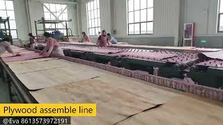 Plywood assemble line for plywood production line [upl. by Algie677]