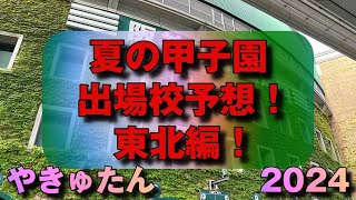 【夏の甲子園】2024年夏の甲子園出場校予想！東北編！ [upl. by Myke]