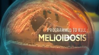 Programmed To Kill Melioidosis  Official Trailer 2016 [upl. by Nivat467]