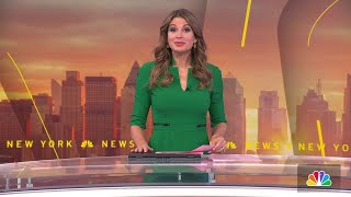 WNBC  Weekend Today in NY at 6am  Headlines Open and Closing  December 23 2023 [upl. by Jacobine]