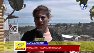 TESTIMONIO POR PICADURA DE FRAGATA PORTUGUESA 16 DE FEBRERO 2017 [upl. by Llessur600]