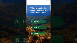 General knowledge quiz part 47 generalknowledge generalknowledgequiz challenge quiz nature [upl. by Eedya]